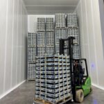 WhatsApp Image 2026-02-10 at 10.21.26 PM (2)