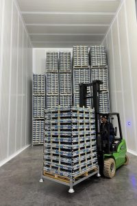 WhatsApp Image 2026-02-10 at 10.21.26 PM (2)